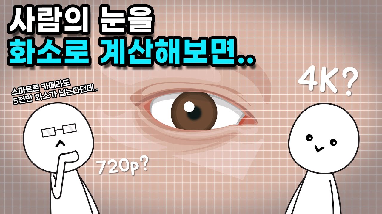 사람의 눈은 몇 화소일까?