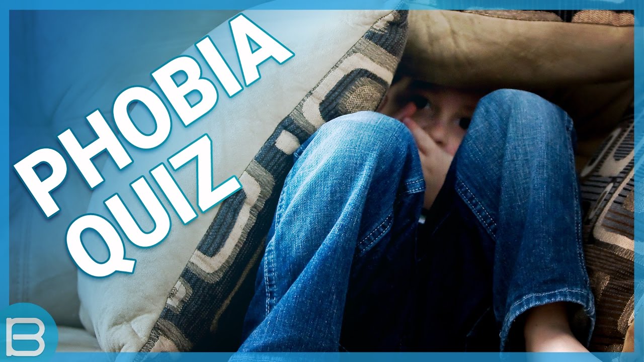 What Is Your Phobia?