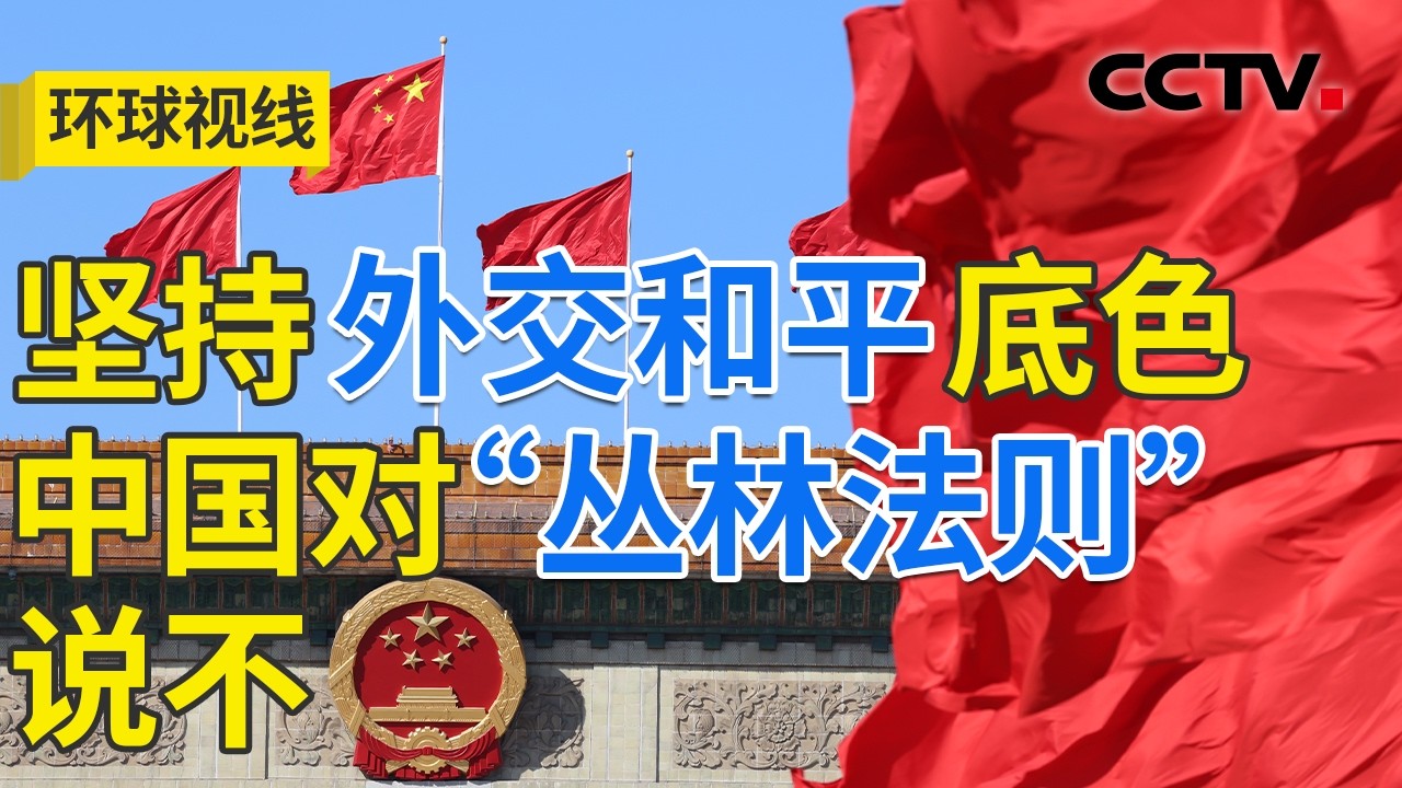 中国稳健发展向新而行 携手世界共创未来 20260312 | CCTV中文《环球视线》