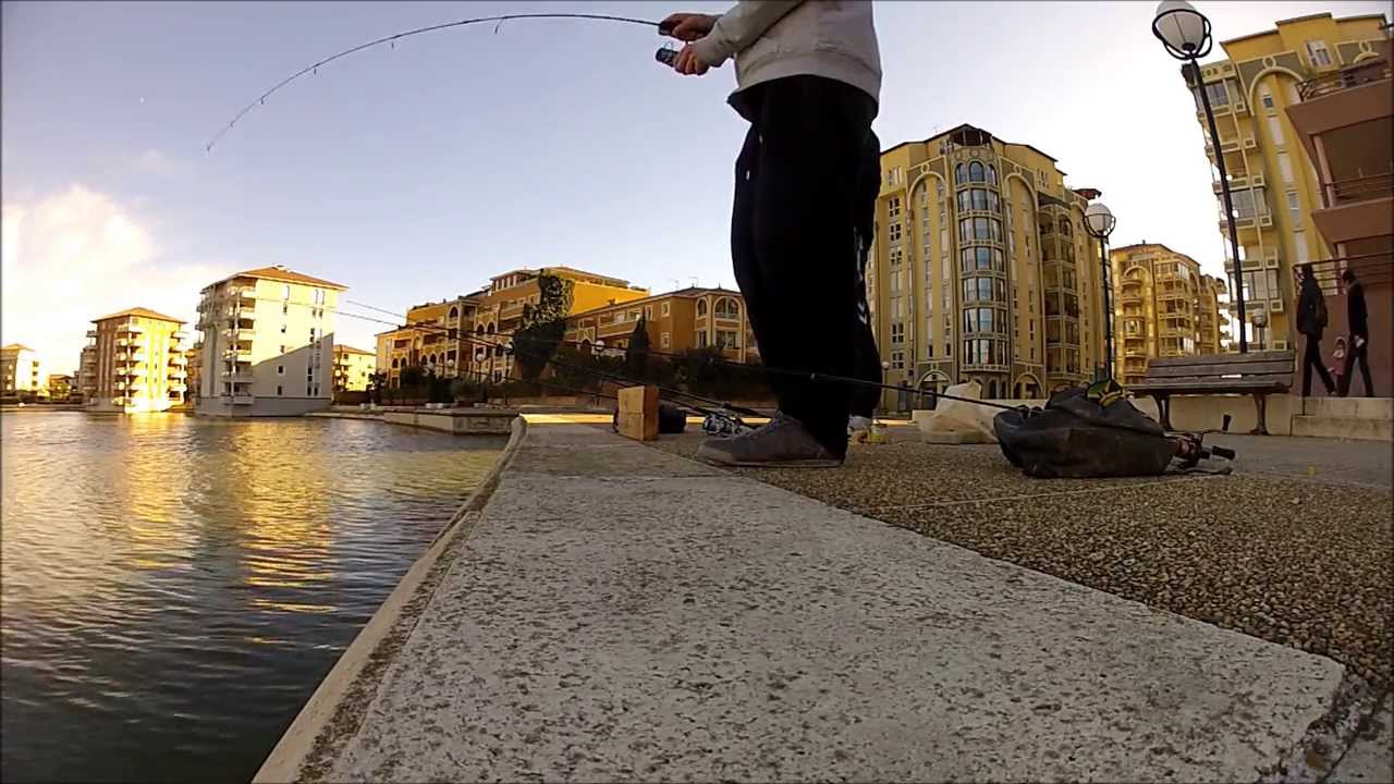 PECHE DE LA CARPE