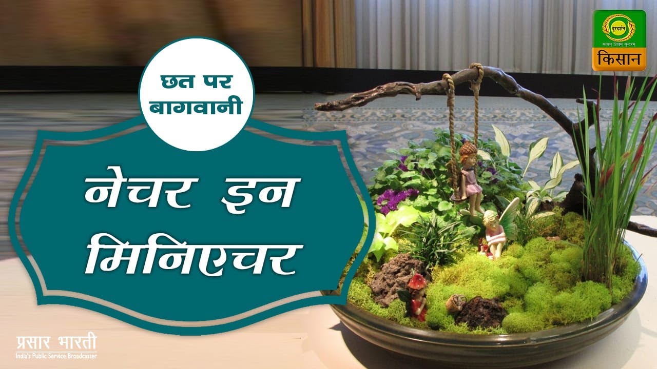 छत पर बागवानीविषय - NATURE IN MINIATURE