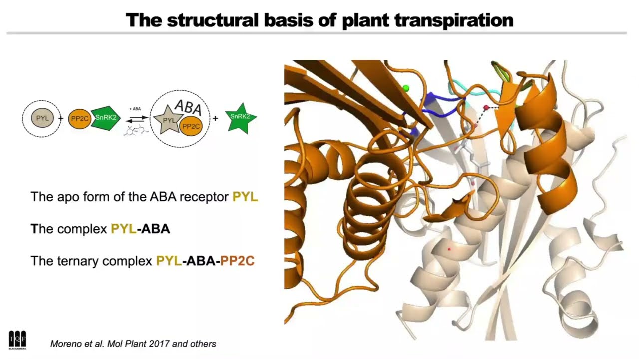 Prof. Armando Albert: Drugging Plants in a Thirsty Planet