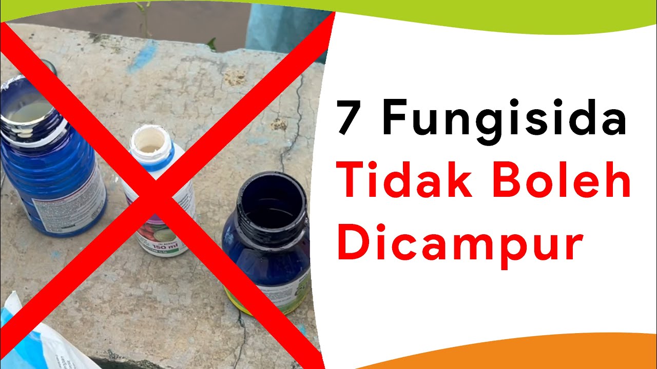 7 Fungisida Tidak Boleh Dicampur + Resisten Tinggi