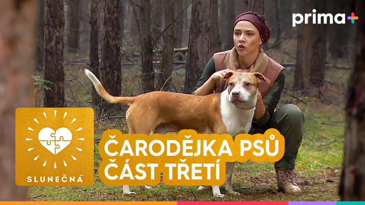 ☀️Slunečná (11): Čarodějka psů – část 3/3