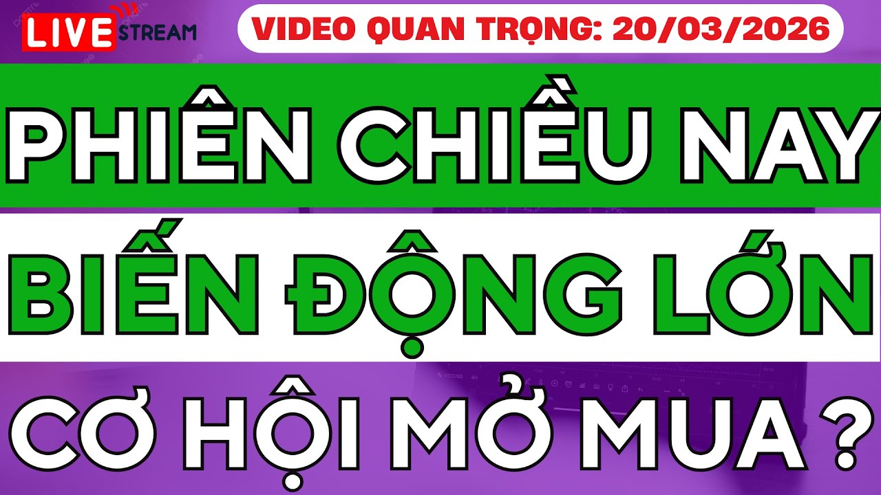 BIẾN ĐỘNG CỰC LỚN PHIÊN CHIỀU! LỘ DIỆN 3 CỔ PHIẾU MẠNH – CƠ HỘI MỞ MUA NGAY?