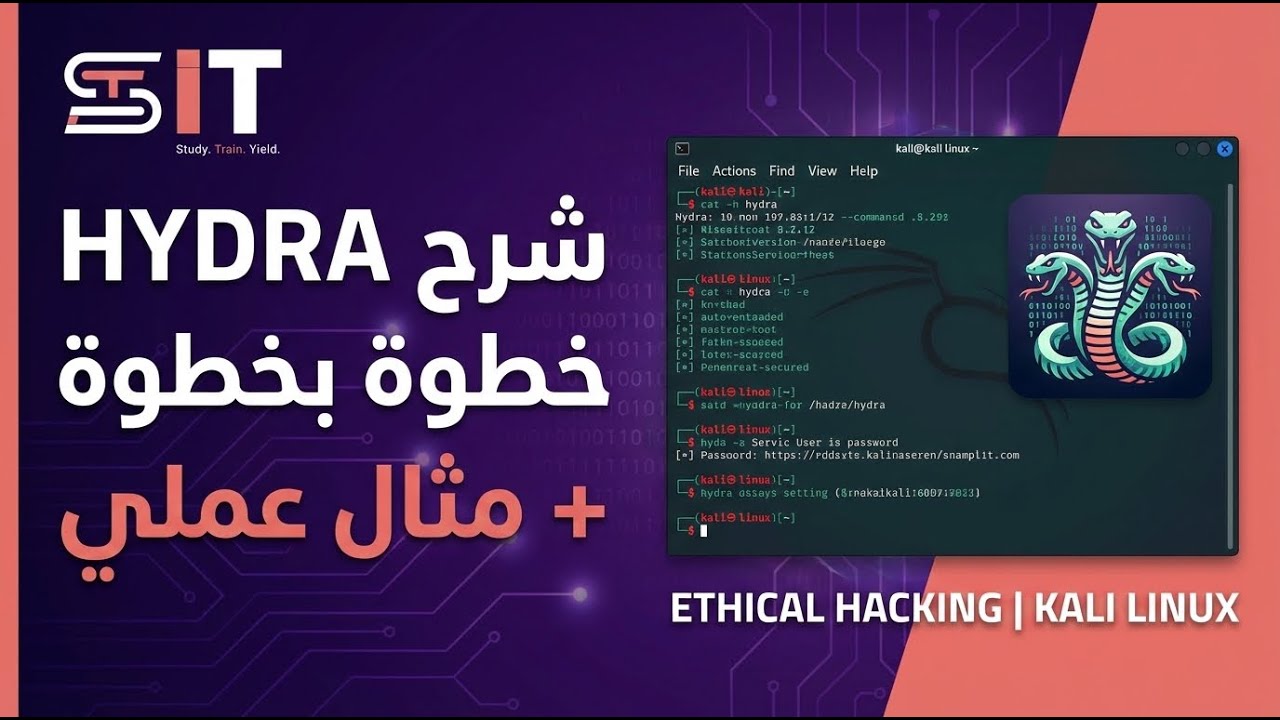 شرح Hydra خطوة بخطوة + مثال عملي (Ethical Hacking | Kali Linux)