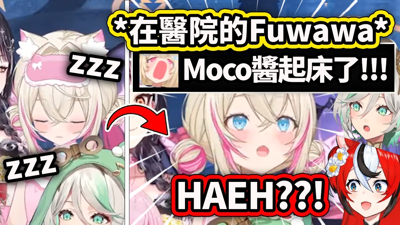 連在醫院休養的Fuwawa都能當指示廚?! 直接留言叫Mococo起床w 被嚇到的妹妹：Hae??!【FuwaMoco Bae Ceci】【Hololive 中文精華】