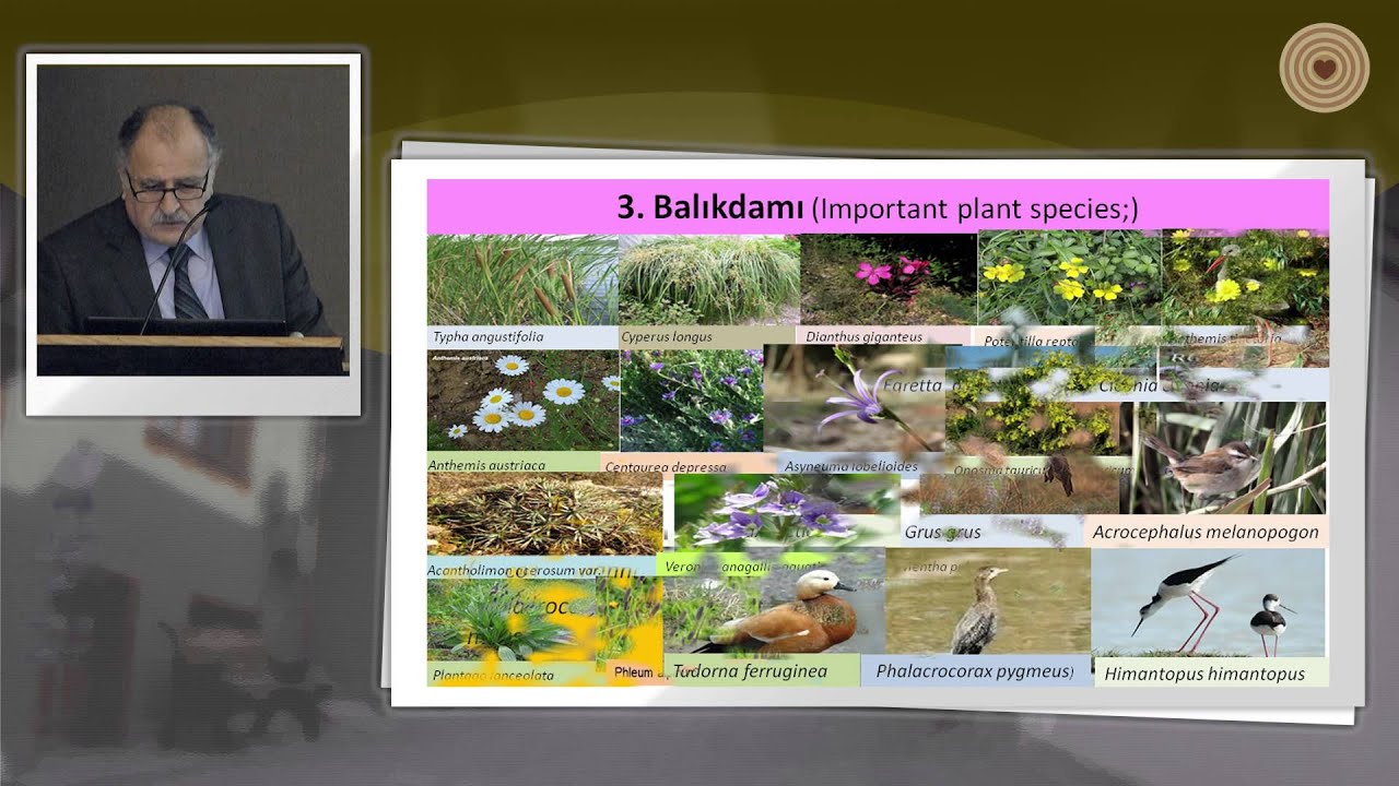 2015 WWD - Symposium -  Ersin Yucel