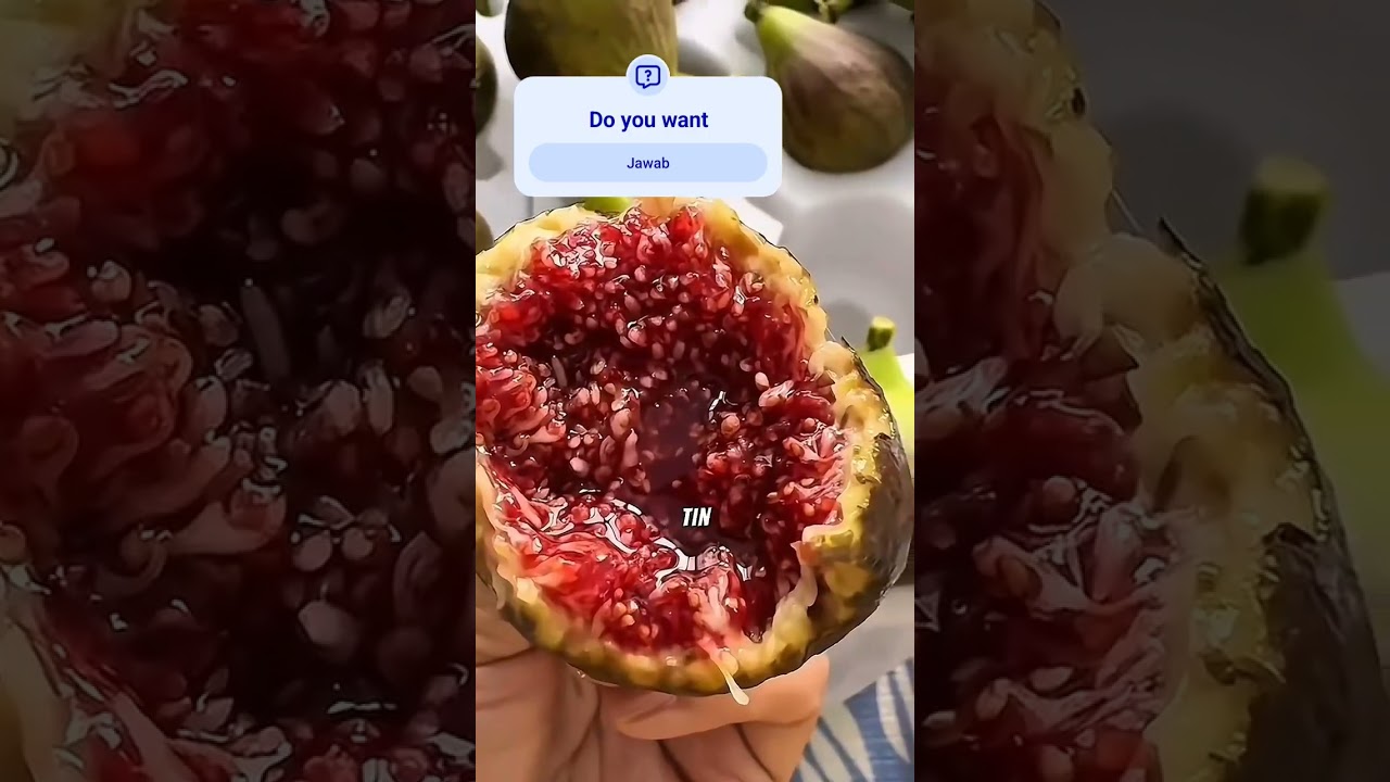 Did You Know Figs Thrive Here? 🇮🇩 