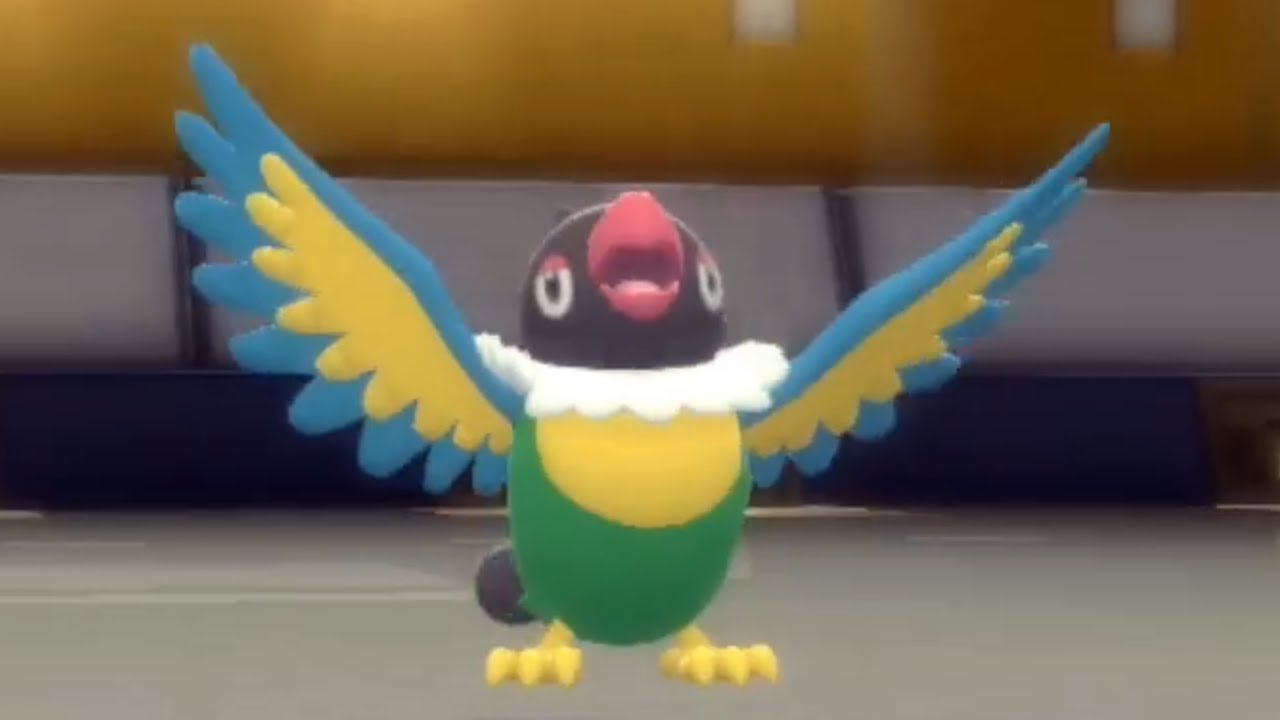Chatot Hits Em With a Chatter | Pokemon Brilliant Diamond & Shining Pearl 6v6 Singles Wi-Fi Battle