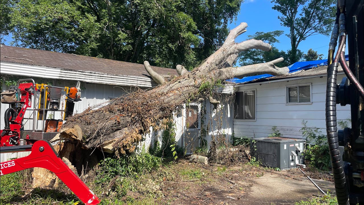 Tree fell on this house and severely damaged it
