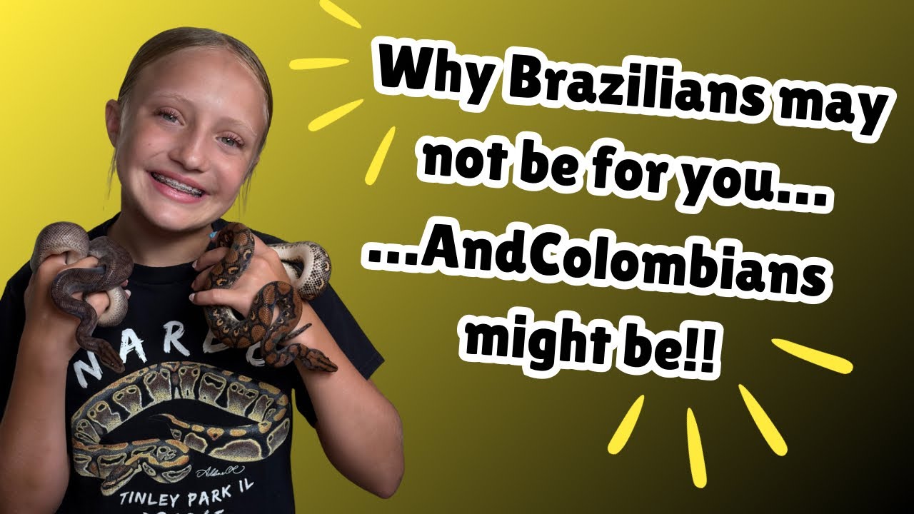 Why Brazilian Rainbow Boas may not be for you….. And Colombian Rainbow Boas might be!