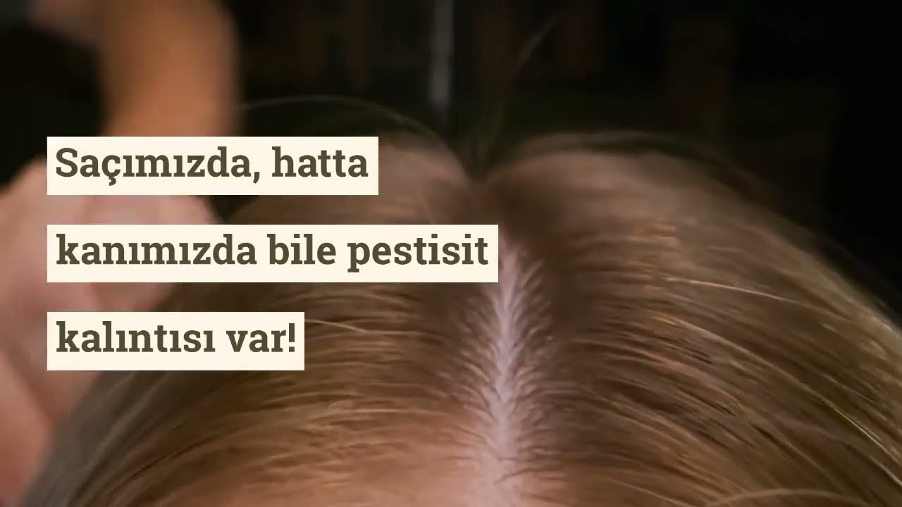 Pestisit sa&ccedil;ımızda! - Zehirsiz Kentlere Doğru