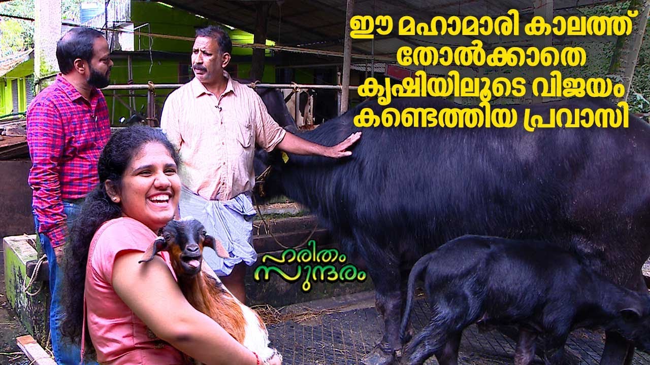 An expatriate who found success through agriculture during this epidemic | Haritham Sundaram EP 358