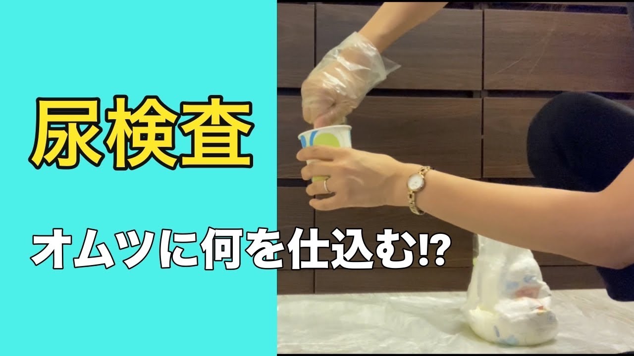 尿検査を成功させよう！オムツに何を仕込む!?  #尿検査  #こども  #幼児