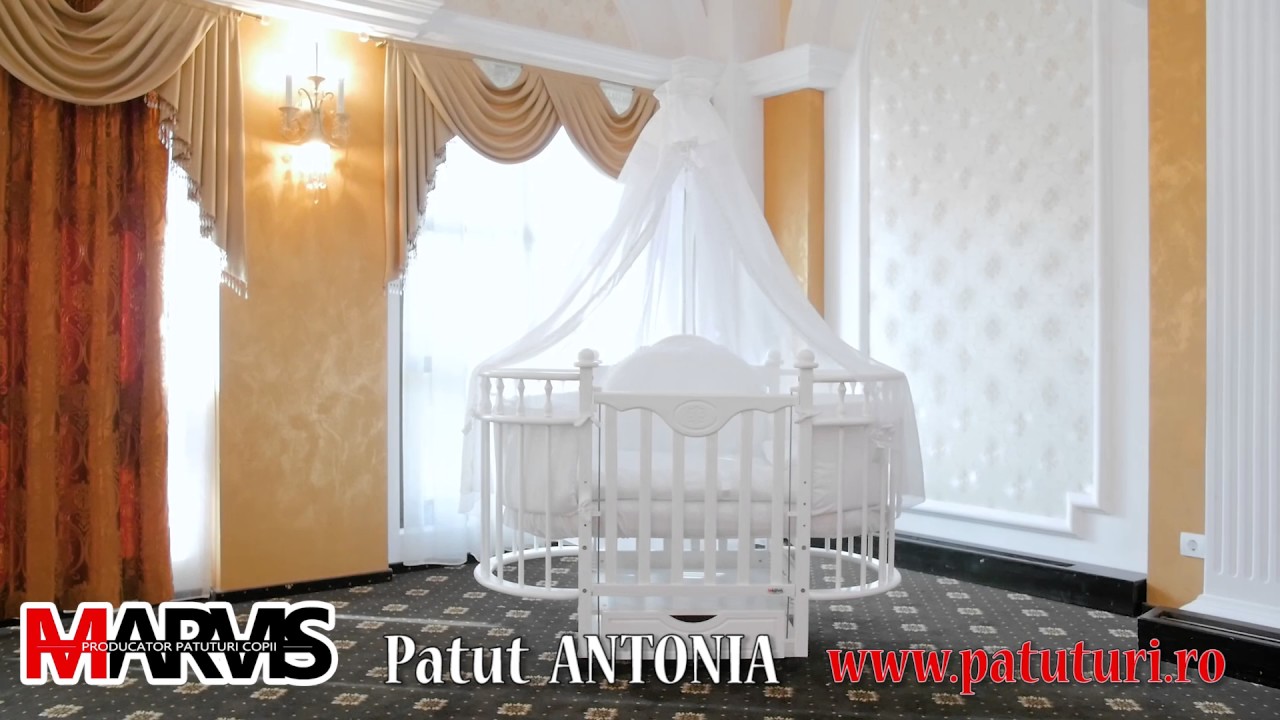 Patut Antonia