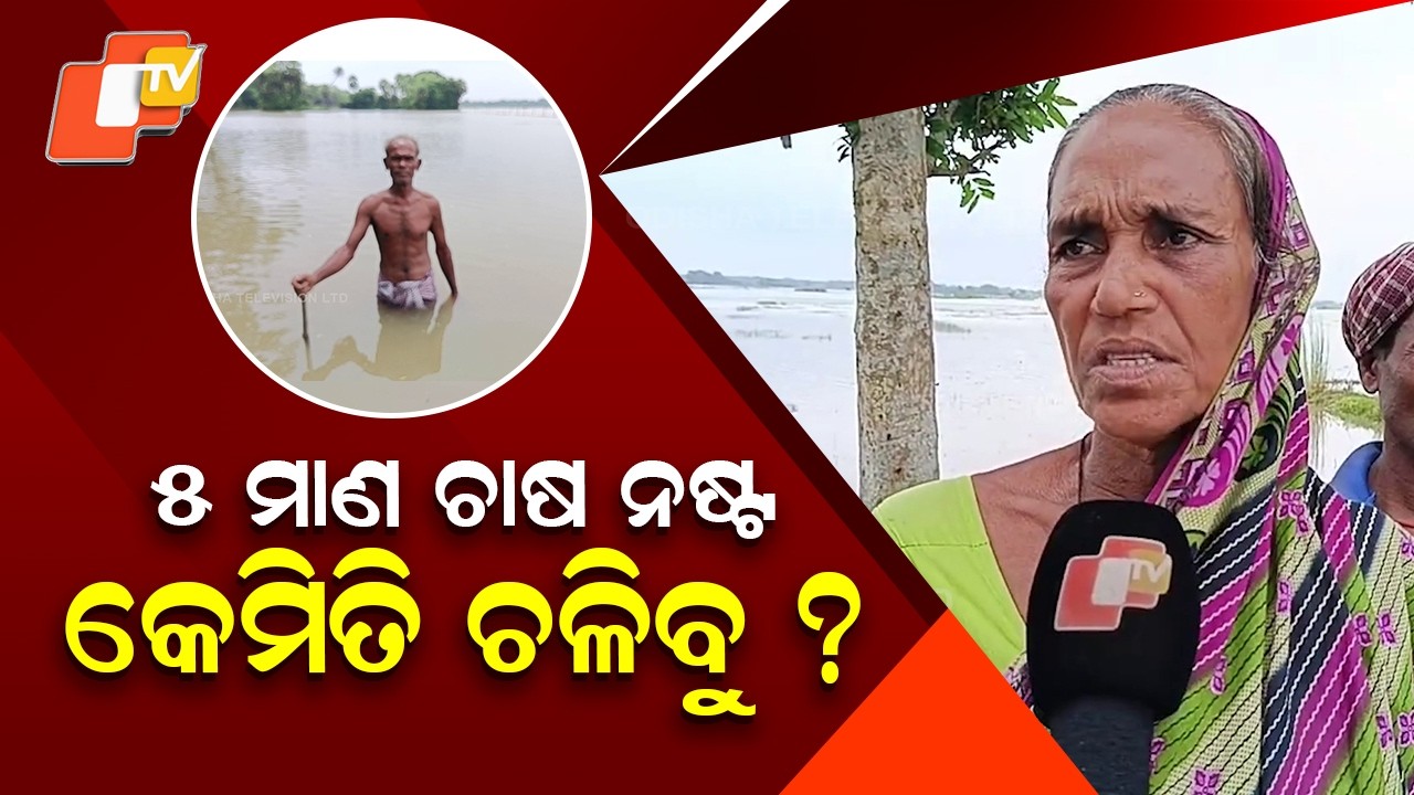 Flood Ravages Crops in Basudevpur, Farmers Seek Compensation and Permanent Solution
