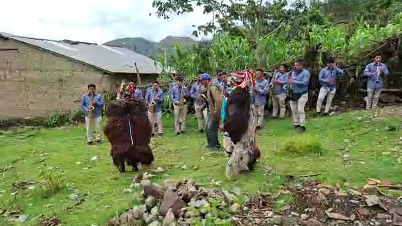 Fiesta 20 de enero Andamarca - Orquesta Sentimiento Gana Peru 2026