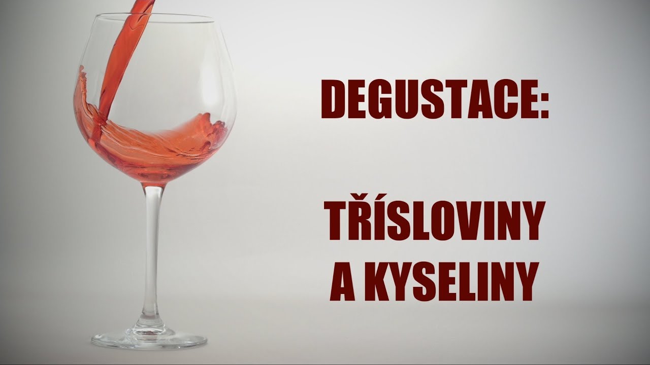 Degustace vína - třísloviny a kyseliny