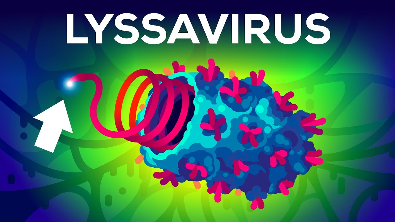 Le virus le plus mortel sur Terre