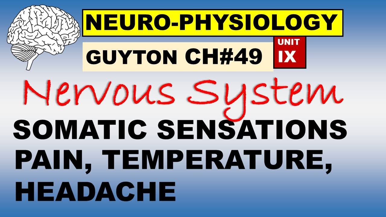 Ch#49 Physiology Guyton | Neurophysiology | Somatic Sensations | Pain, Temperature, Headache