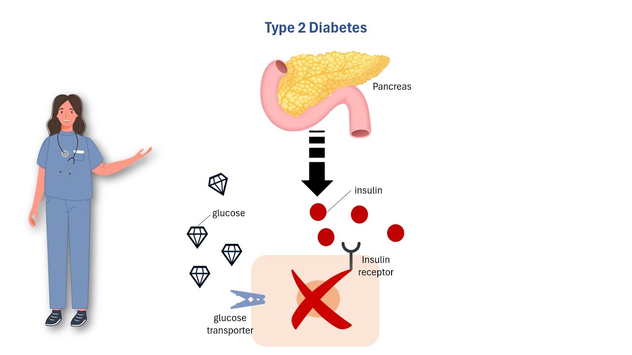 Mastering Antidiabetic Pharmacology: How Every Drug Works (Mechanisms of Action)