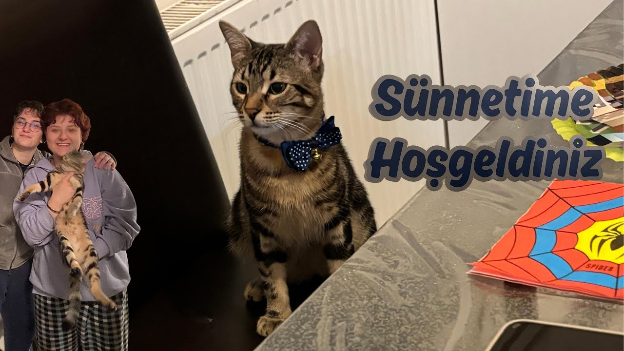minci'nin sünnet düğünü