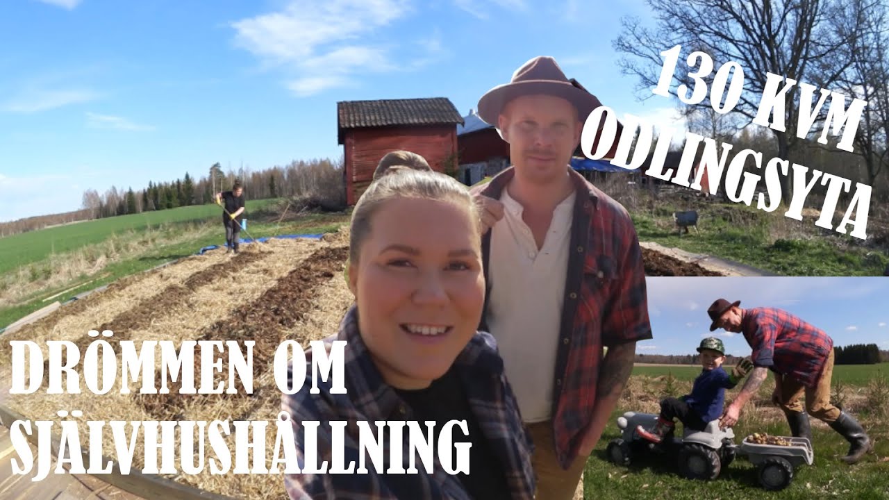 DRÖMMEN OM SJÄLVHUSHÅLLNING DEL 2 - Upphöjda bäddar i vår nya köksträdgård