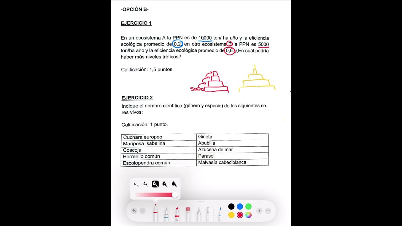 ANDALUCIA 2025 - Analizando el examen