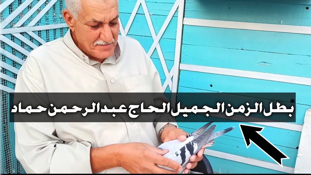 اسرار الحمام الزاجل مع الحاج عبد الرحمن حماد في ضيافه البطل ايمن انور