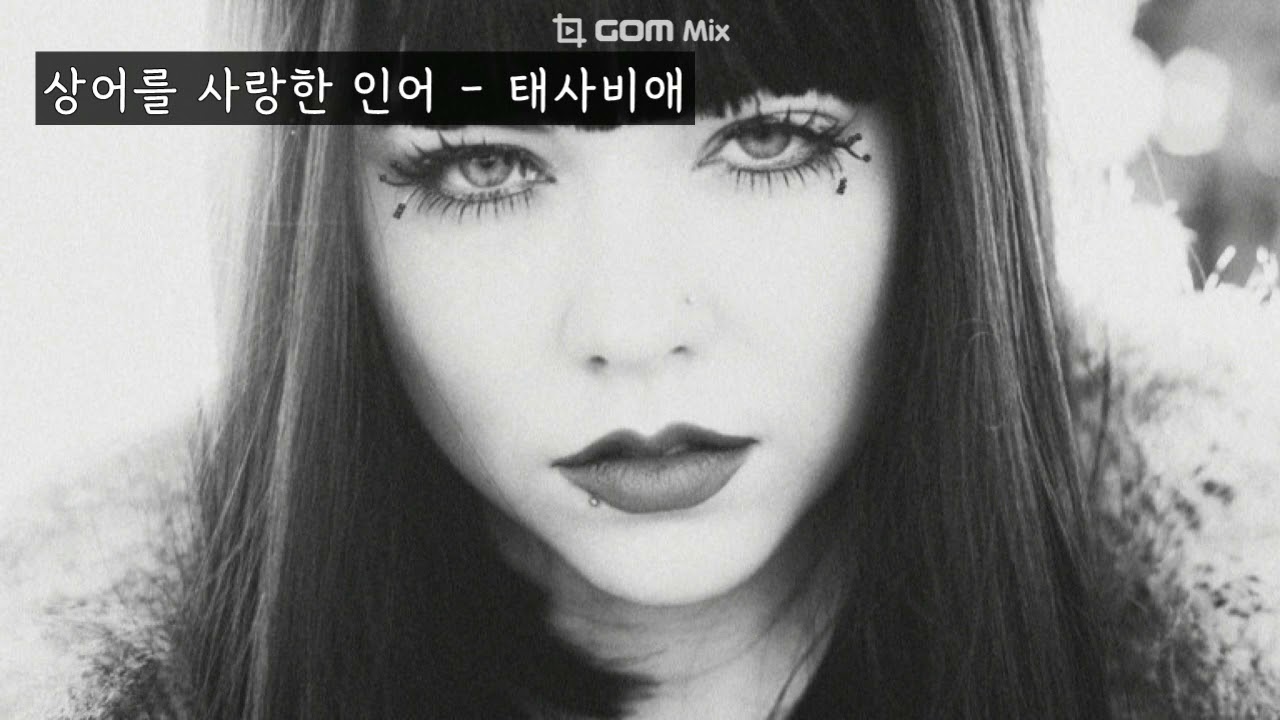 상어를 사랑한 인어 (女 ver.) (마이걸OST) - 태사비애 (가사ㅇ) 2005 원곡 : 채나리 되돌아온 편지 2000