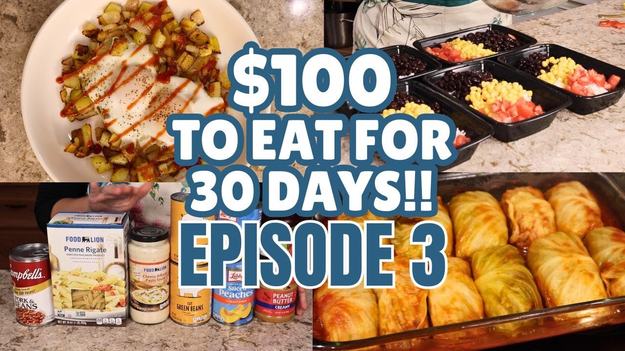 One Week Down! How Much Food Do I Have Left? | $100 Grocery Budget to Last a Month!