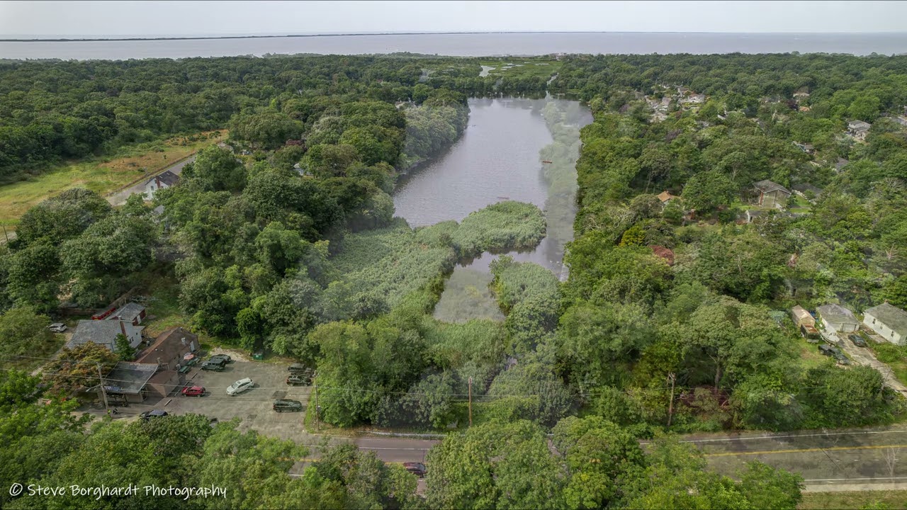 Dunton Lake Area - East Patchogue NY July 20th 2024