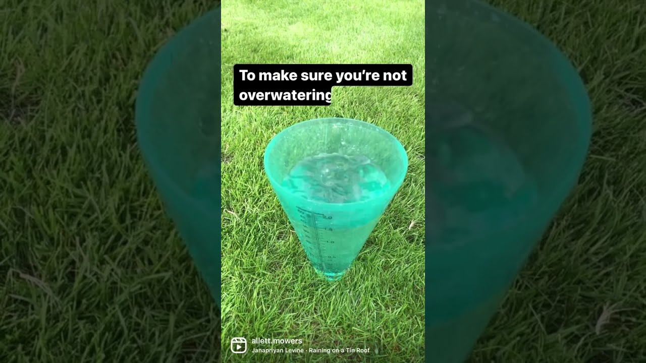 Measure your rainfall and irrigation by using a simple rain gauge.
