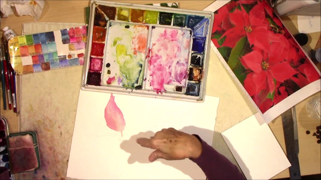 Poinsettia Demo 2020 Part 1
