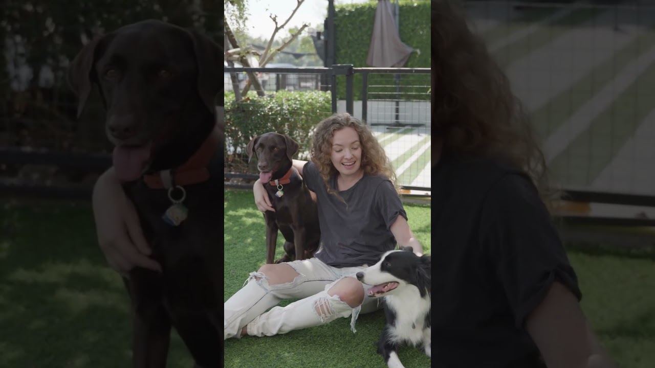 Did You Know at Pace and Vetmeds