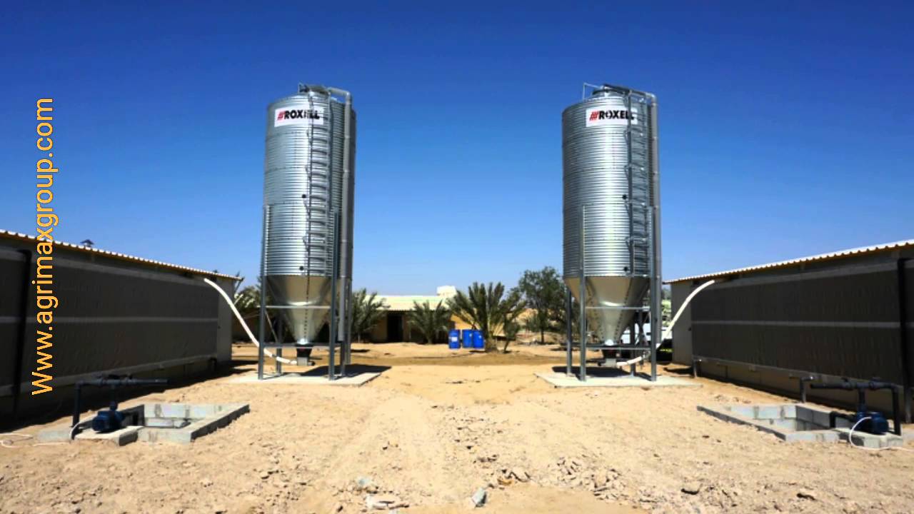 عنابر دواجن بمواصفات عالمية