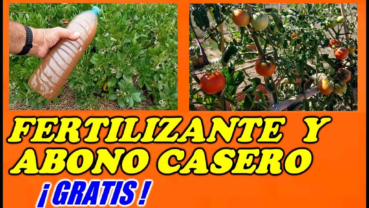 ESPECTACULAR Fertilizante Líquido y Abono Orgánico Casero Para las Plantas // Todo Huerta y Jardín