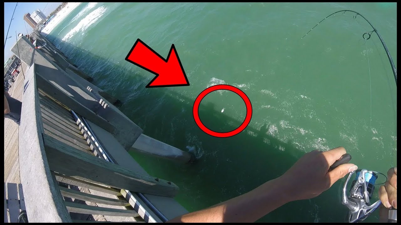Pier Fishing - The Pompano are EVERYWHERE! Pompoano Frenzy at Pensacola Beach Pier