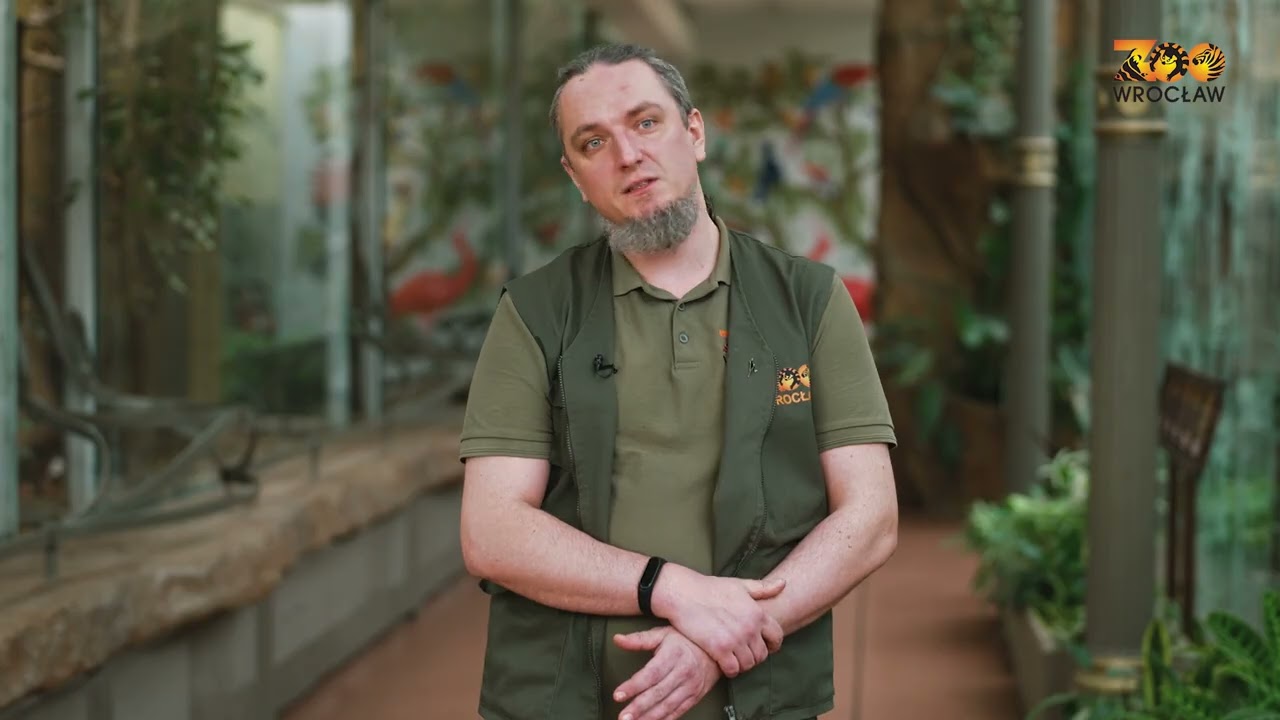 OBLICZA ODRY odc. 3: Odra z lotu ptaka