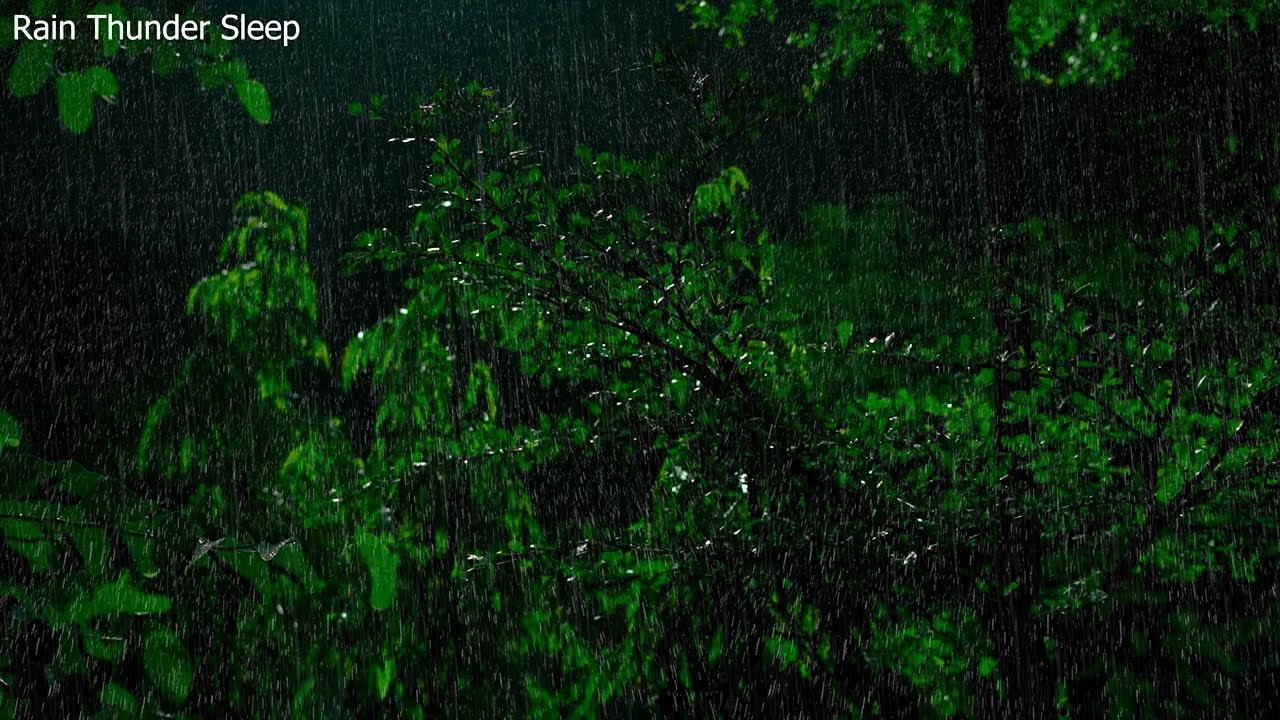 No Ads Rain Sounds for Sleeping - ASMR Rain and Thunder Sounds For Sleeping, Relaxing
