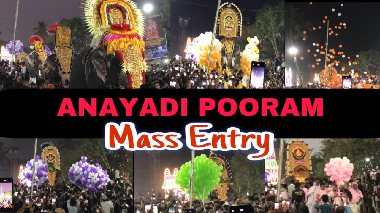 ആവേശം നിരഞ് ആനപ്പൂരം | Mass Entry in Anayadi Pooram | Anayadi #anayadipooram #anayadi