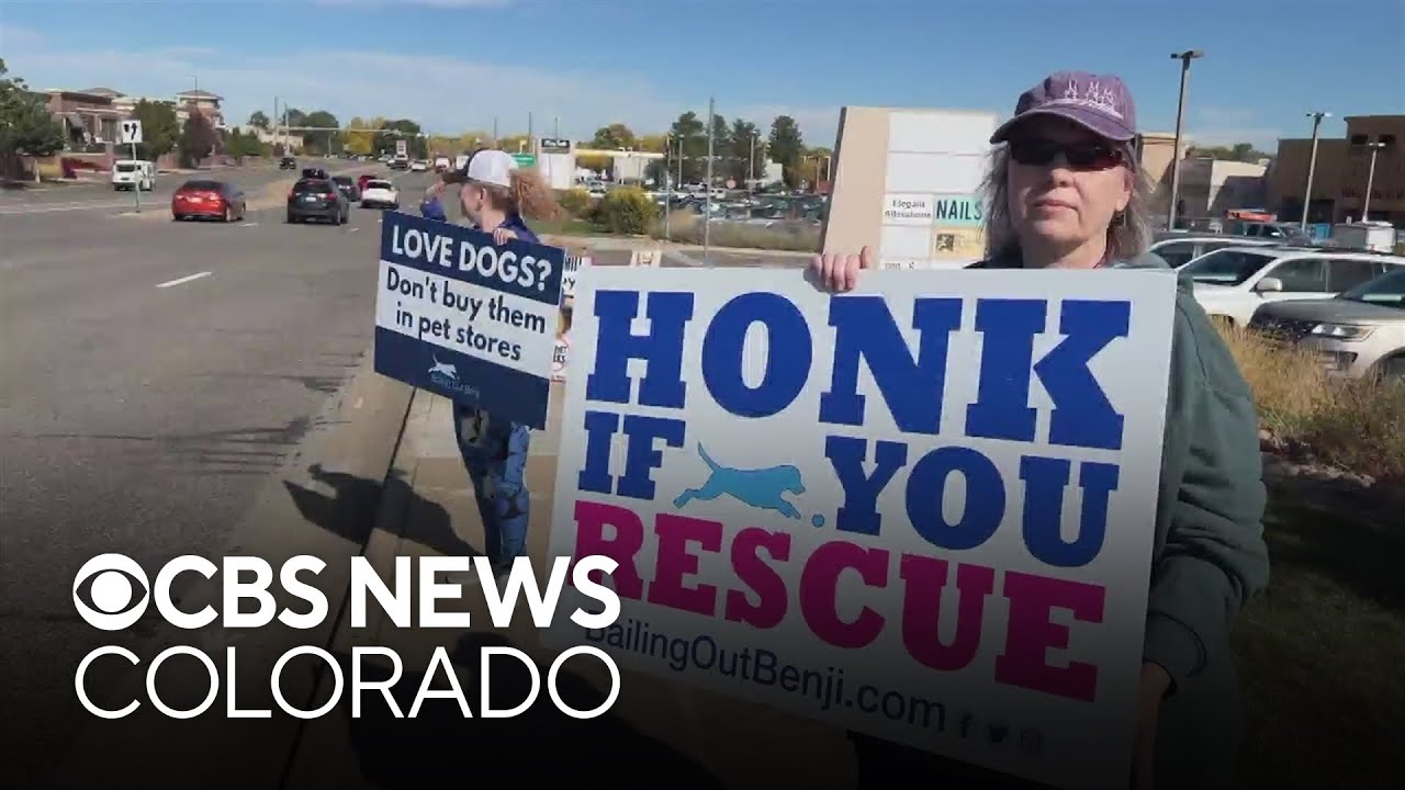 Centennial pet store owner disputes protesters' claim that store gets dogs from puppy mills