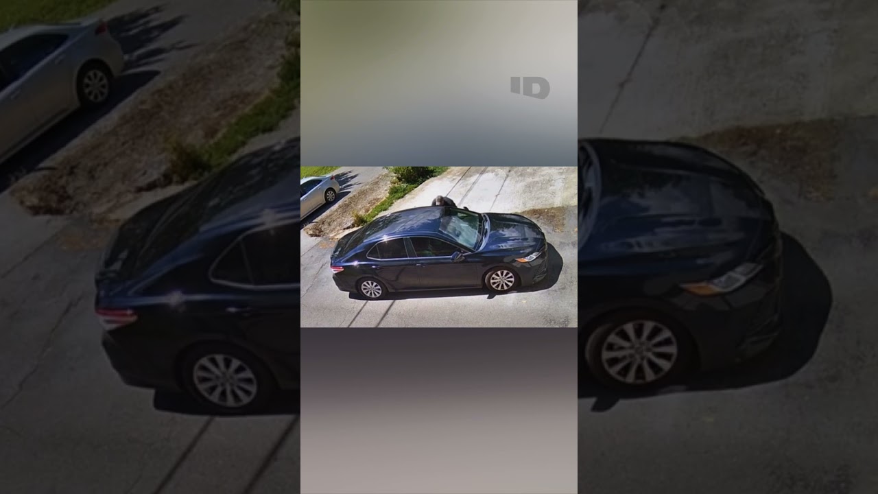 Erratic Driver Shoots at Man on the Road | Road Rage | ID