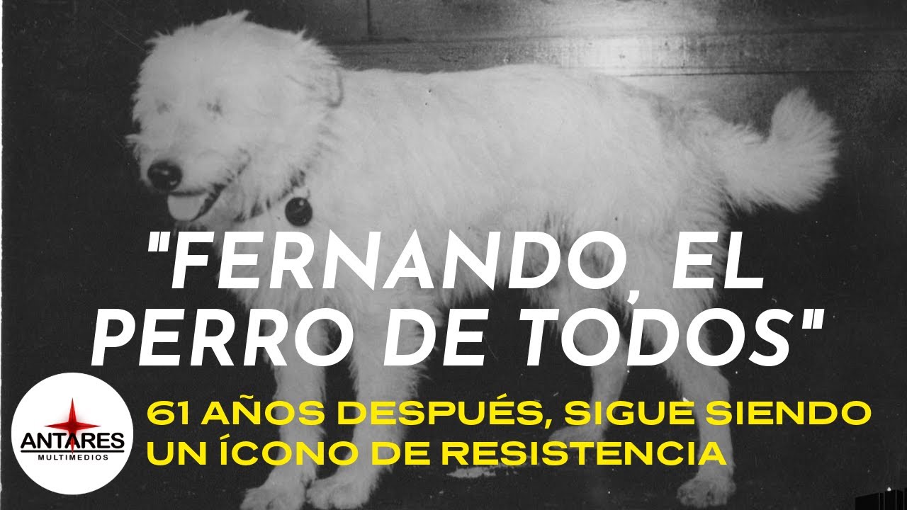 El perro Fernando 61 años después, sigue conquistando el corazón de la gente.