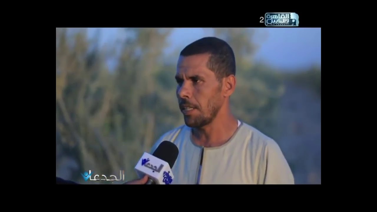 شاهد فى الجدعان    'جارة السليمانية' أكبر مستعمرة فى مصر لأنتاج الزيتون بوادى النطرون