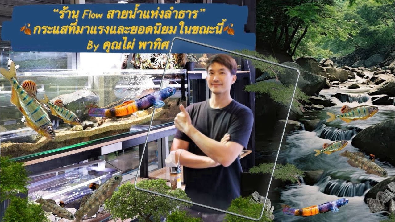 ร้าน Flow ตู้ลำธาร & ปลาลำธารน้ำตก🐟Ep.1
