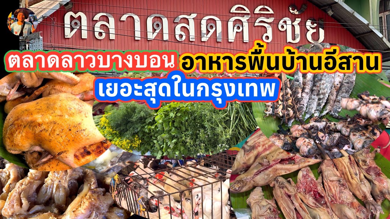 #ตลาดศิริชัยบางบอน#ตลาดลาวบางบอน#อาหารพื้นบ้านตามฤดูกาลอลังการมากๆเยอะที่สุดในกรุงเทพ#ลุงน้อยchannel