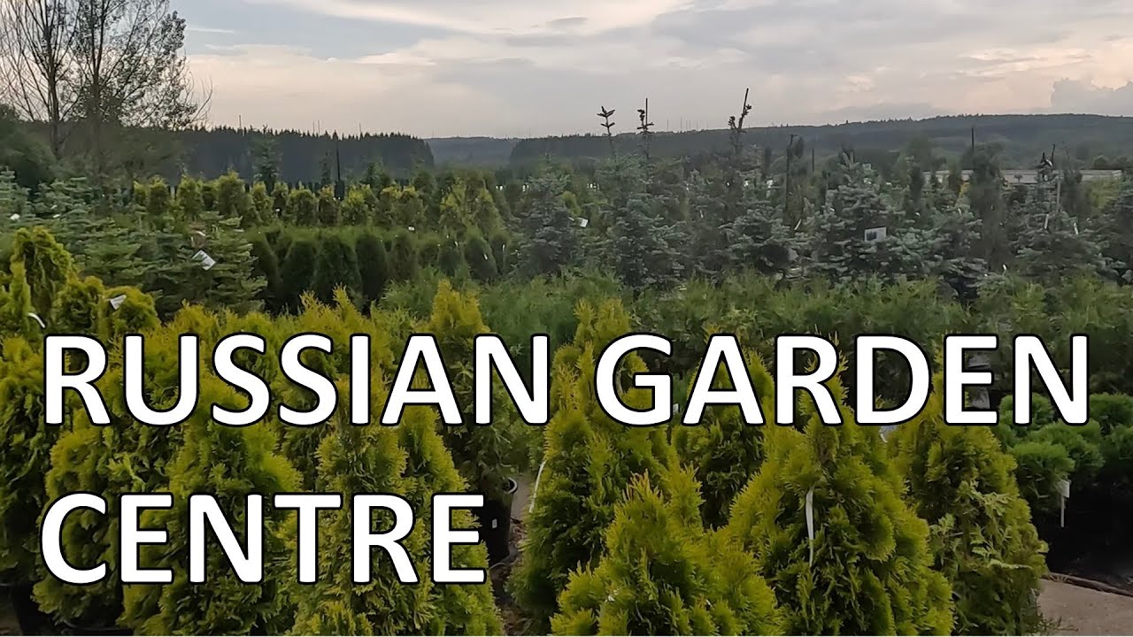 Inside Russia's Strange Garden Centers