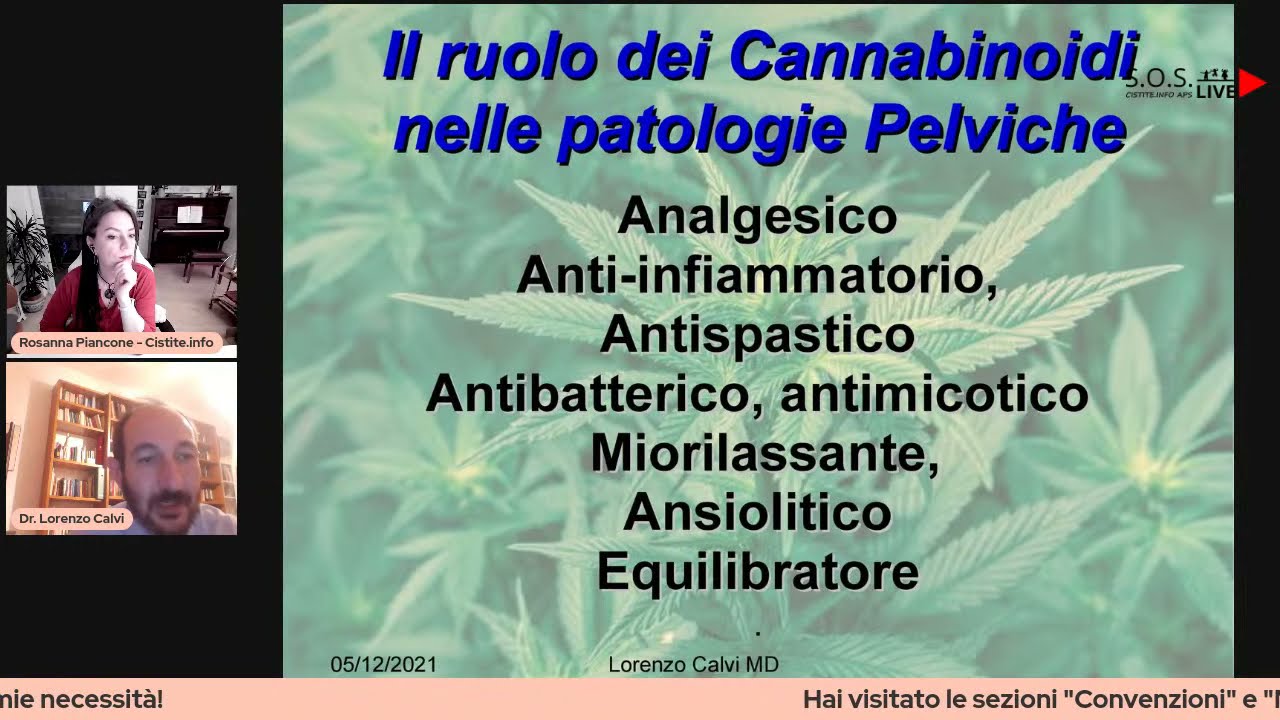 Cannabinoidi nelle patologie pelviche